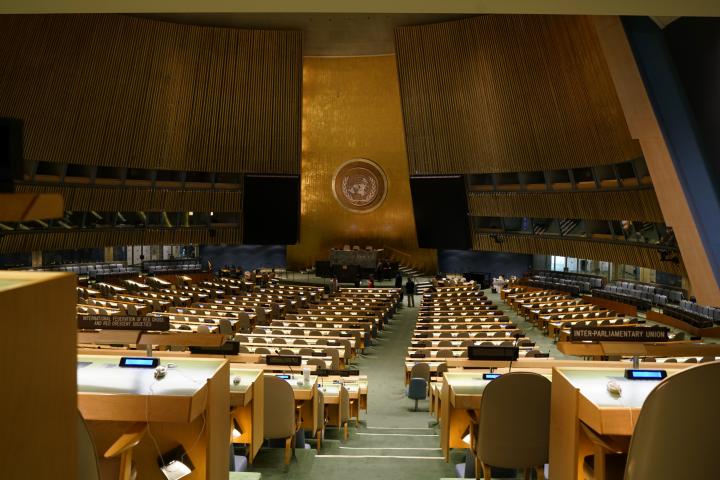 Asamblea General de la ONU