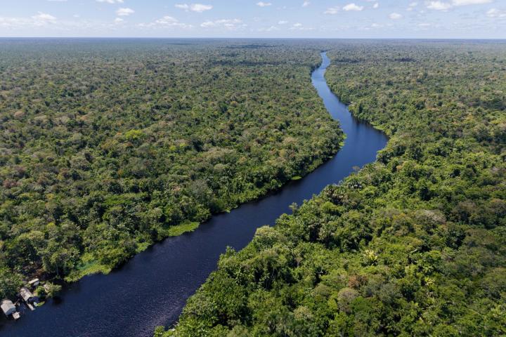El amazonas en una imagen de archivo