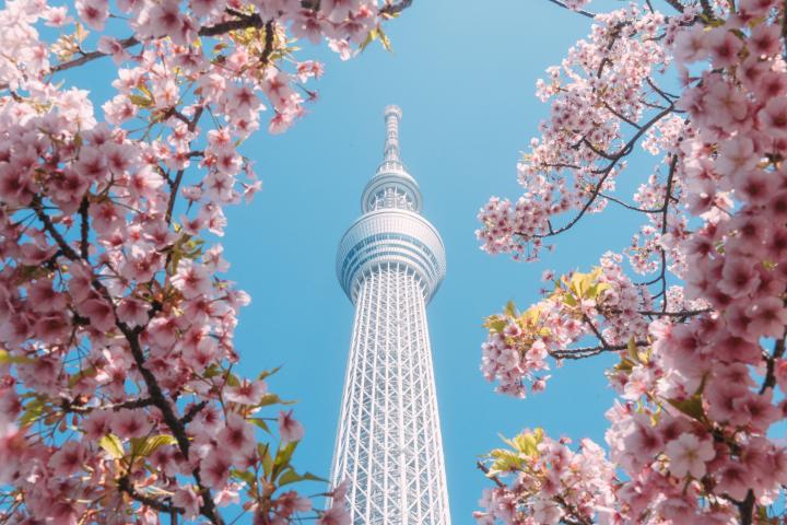 Una imagen de Tokio.