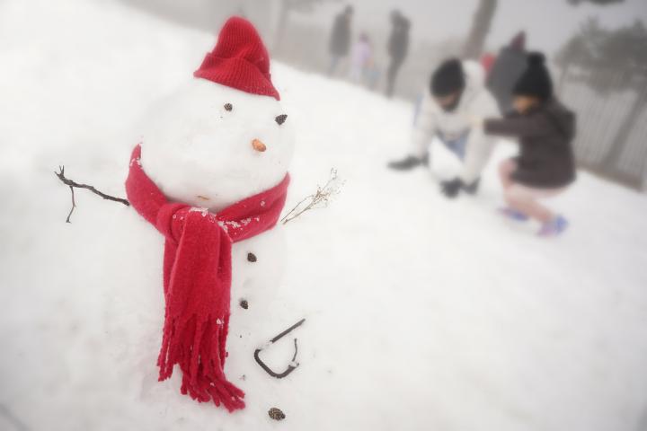 Un muñeco de nieve en el campo