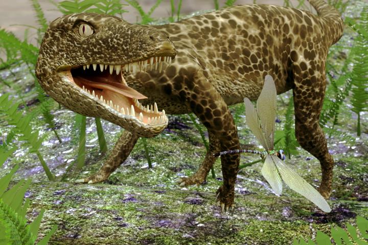 Ilustración de un Hesperosuchus (un género extinto de reptiles crocodilomorfos) persiguiendo juguetonamente a una libélula entre un grupo de helechos.