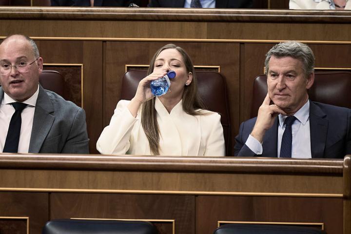 Miguel Tellado, Ester Muñoz y Alberto Núñez Feijóo, en el Congreso