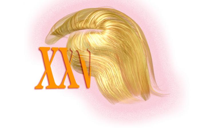 Trump, EEUU y la 25ª Enmienda, por López Aguilar