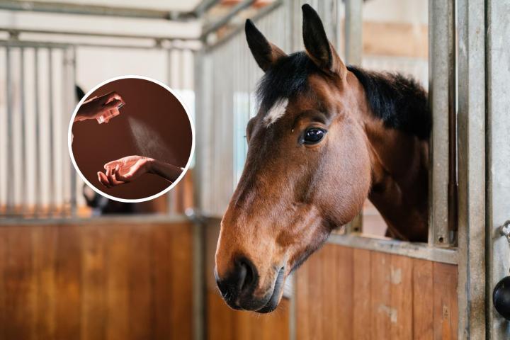 Un caballo y un frasco de perfume
