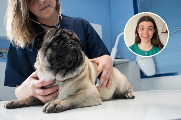 Laura casquero y veterinaria con un perro @lauracasquerooo888