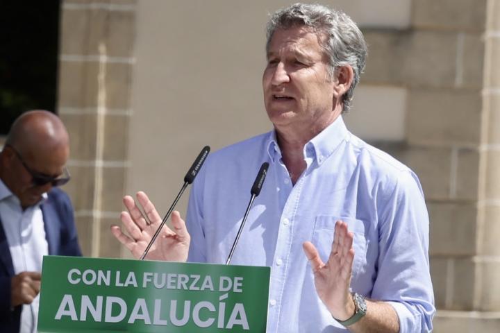 El líder del PP, Alberto Núñez Feijóo, en un mitin de las elecciones andaluzas en Jerez de la Frontera (Cádiz).