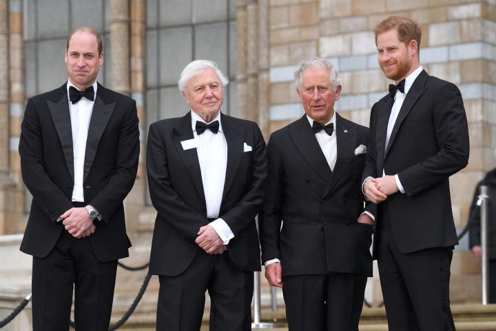 El príncipe Guillermo, Sir David Attenborough, Carlos III y el príncipe Harry en el estreno de 'Our Planet'