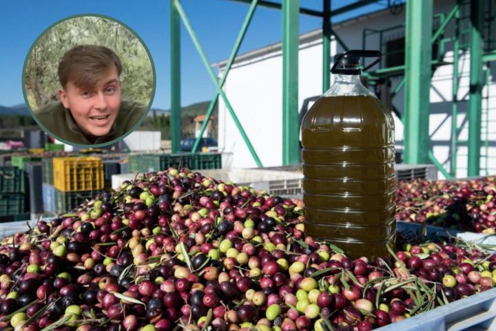 Experto en almazara