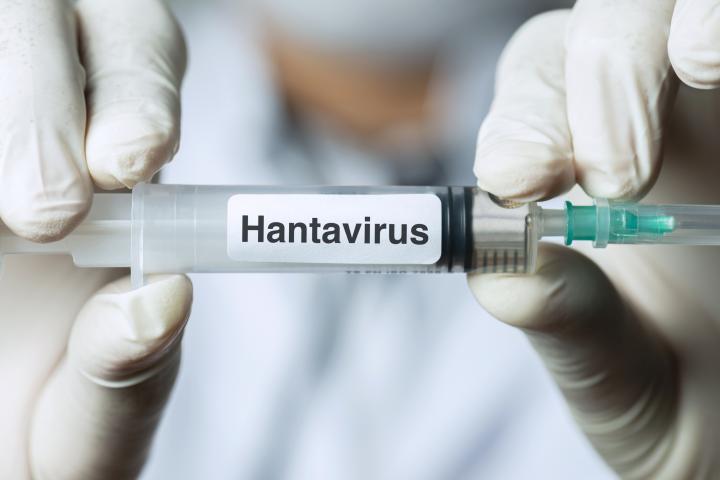 Hantavirus