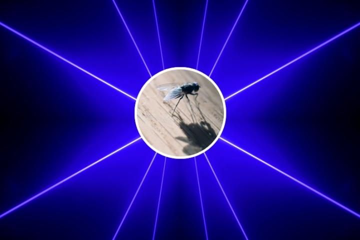 mata-mosquitos-laser-china