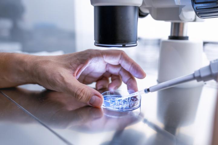 Una investigación científica.