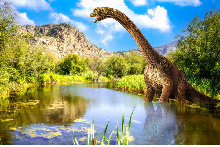 Dinosaurio saurópodo.