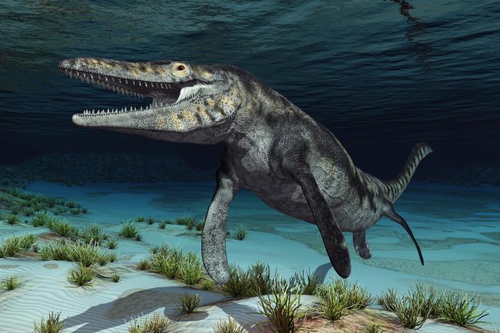 Ilustración de un Tylosaurus.
