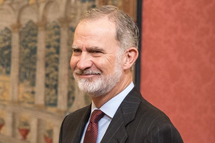 Felipe VI en una audiencia en El Pardo