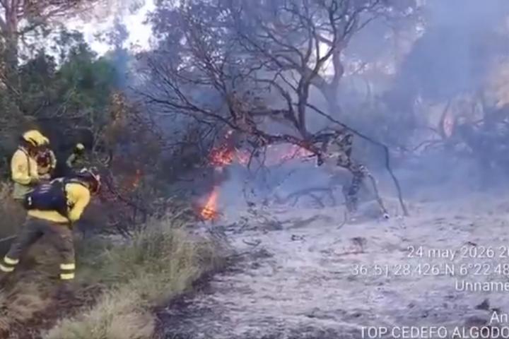 Los efectivos del Infoca trabajan en la zona de Marismillas, en Doñana, ante el incendio forestal del 24 de mayo de 2026.