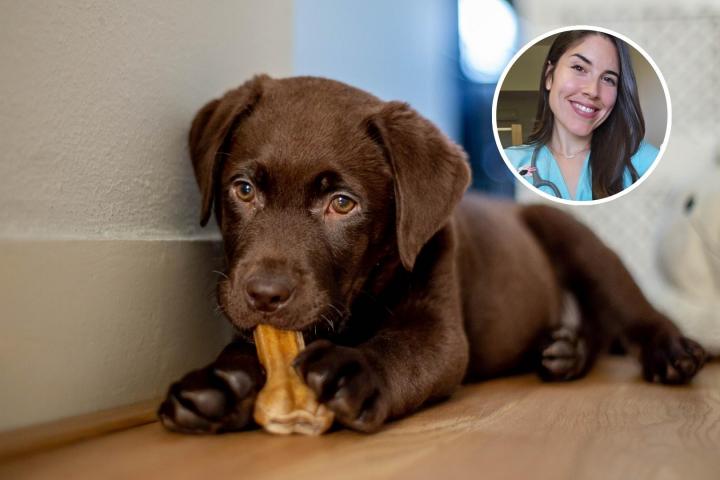 María VetiCan y un cachorro con un hueso