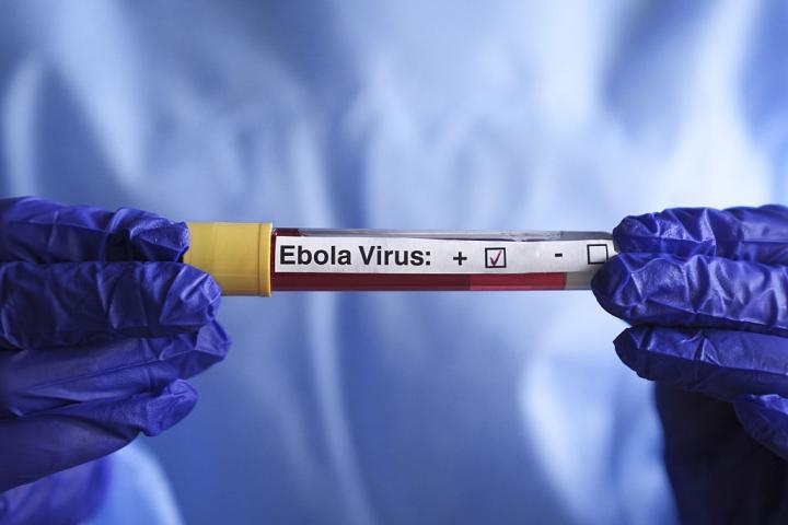Ébola