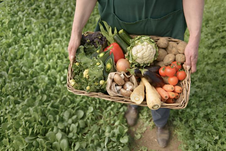 Un agricultor llevando verduras orgánicas en caja para entrega