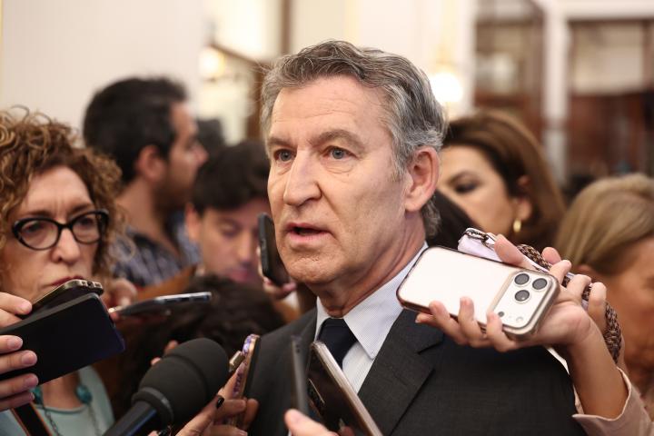 El presidente del Partido Popular, Alberto Núñez Feijóo.
