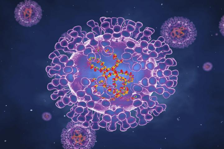 Ilustración del virus de la viruela.