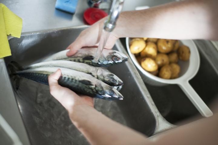 Una mujer lava el pescado bajo el grifo