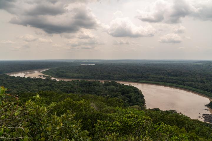 Amazonía