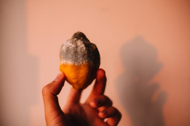 limon con moho
