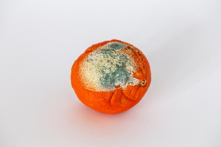 Naranja con moho