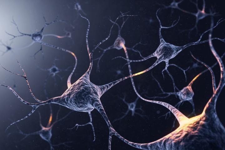sistema de neuronas con conexiones luminosas