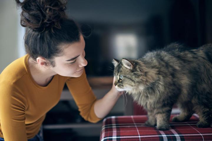 Una chica joven acariciando a su gato