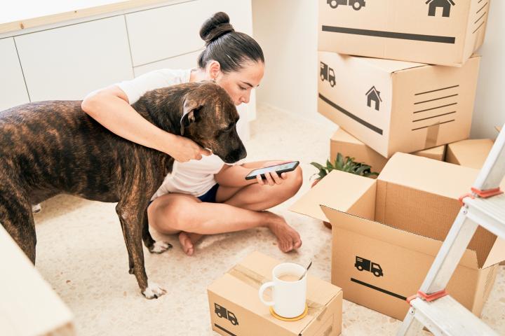 Imagen de una joven, junto a una mascota, buscando algo en el móvil rodeada de cajas de mudanza.
