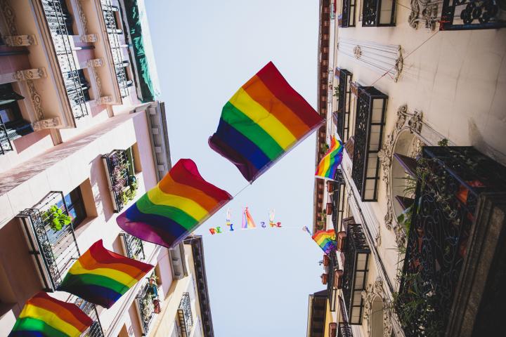 evolucion-orgullo-espana