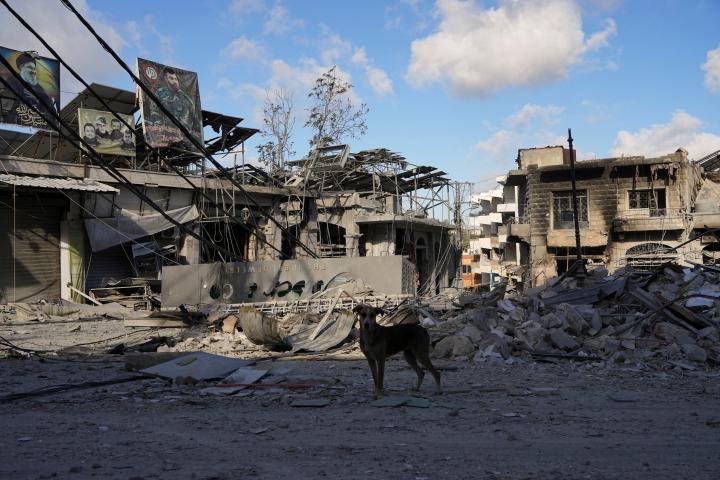 Un perro pasea sobre los escombros de una vivienda tras los ataques israelíes en Nabatieh, (Líbano), el 15 de junio de 2026.