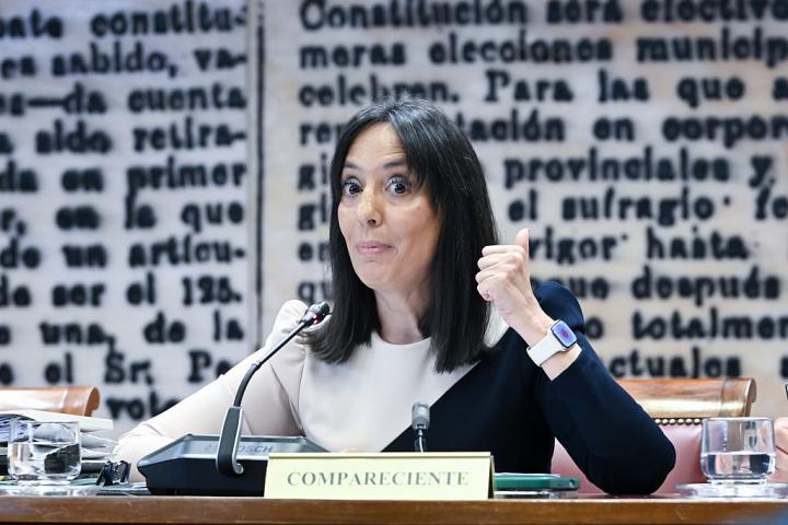 Mercedes González, en el Senado este martes