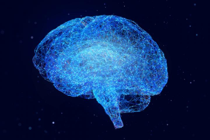 Las conexiones neuronales del cerebro