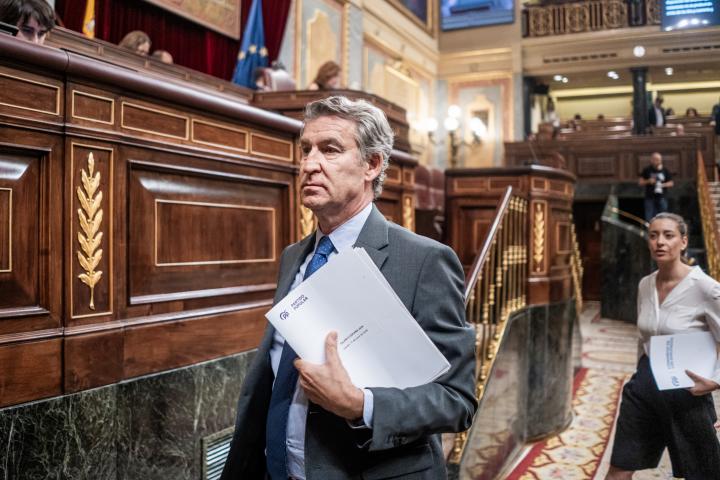 El presidente del PP, Alberto Núñez Feijóo, en el Congreso.