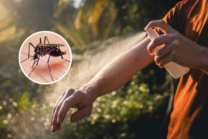 mosquitos-para-combatir-mosquitos