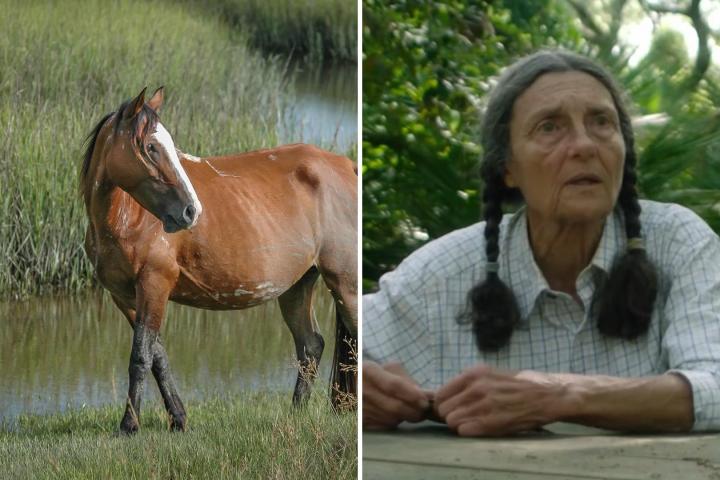 La naturalista Carol Ruckdeschel
