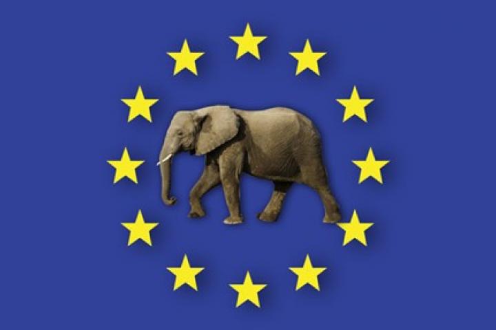 El 'elefante' en la habitación de la futura UE, por López Aguilar