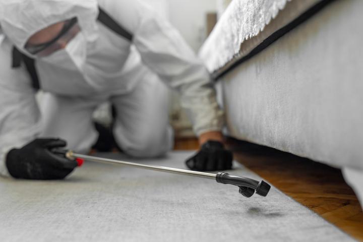 Un controlador de plagas fumigando una vivienda