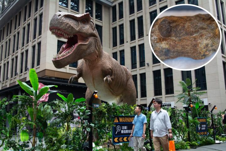 Un dinosaurio y un fósil