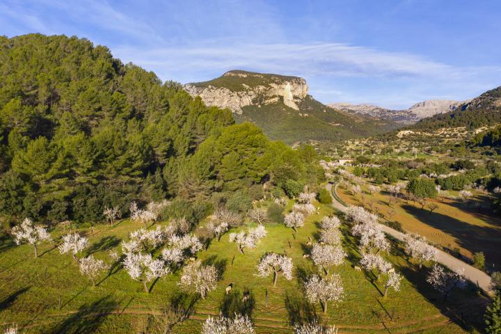 Una imagen de la Serra de Tramuntana.
