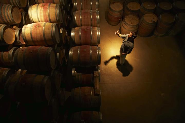 robo-planificado-vino