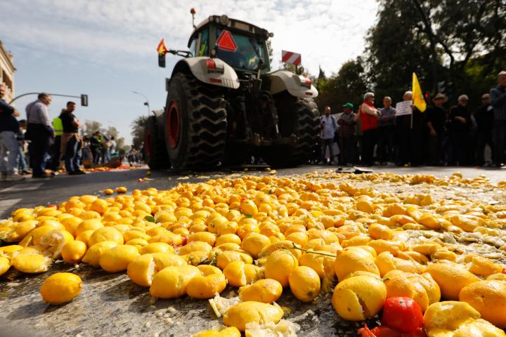 Cítricos en el suelo tras una protesta de agricultores en Murcia, en una imagen de archivo