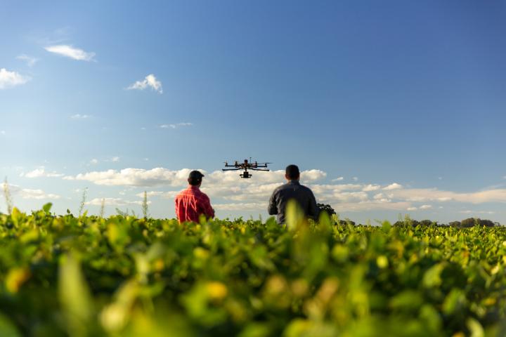 Dron sobre un campo de cultivo, en una imagen de recurso