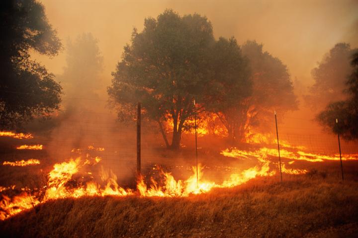 Incendio forestal.