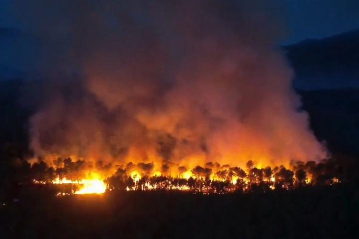 El incendio que ha comenzado este domingo en una zona boscosa de Aiguamúrcia (Tarragona) ha quemado en apenas dos horas unas 80 hectáreas de masa forestal.