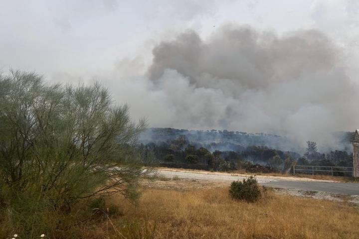 Imagen archivo incendio Colmenar Viejo