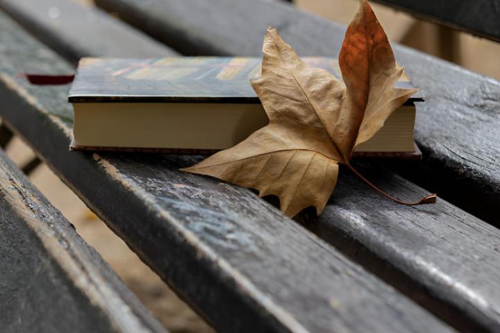 Un libro en un banco de la calle con una hoja de otoño