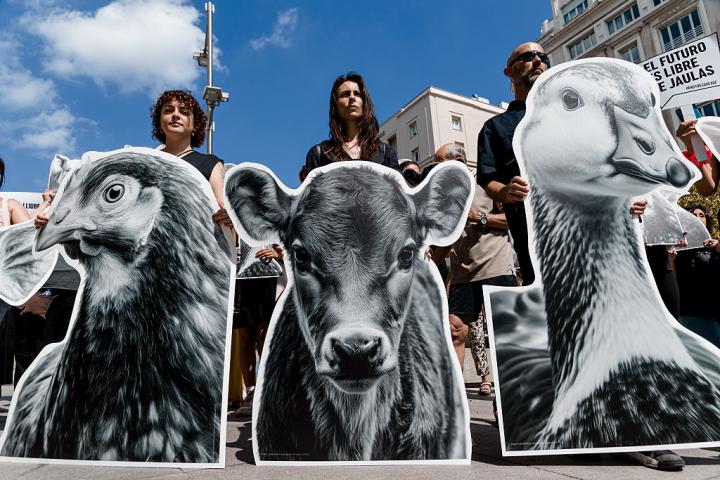 prohibir-crias-animales-jaulas